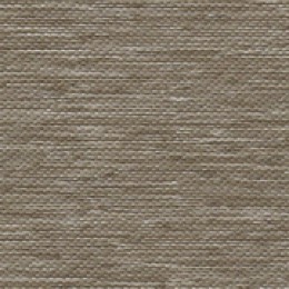 YUMA Orlando <1% zebra fabric in Champagne